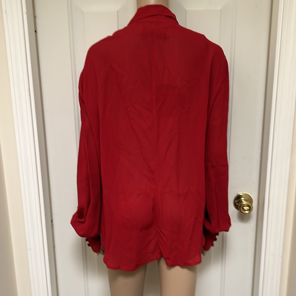 Reformation Sheer Red Long Sleeve Button Up Lace Front Detail Blouse Semi Sheer - Picture 4 of 6